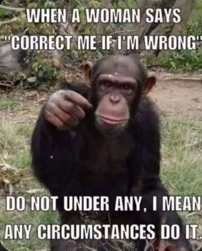 d466906a8e28091bc0bdf6262662d513