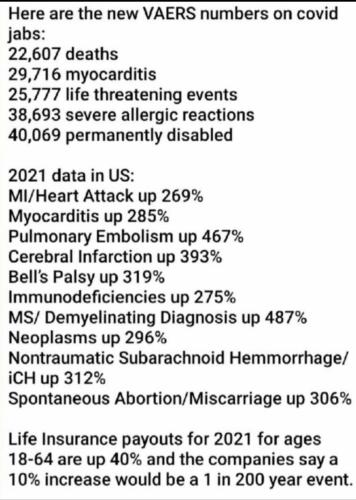 6cb378bb2abb0d8e30a4440bc54cee533d51e77740b3f2cea6158769e4b0c096_1