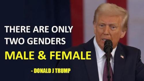 2 genders