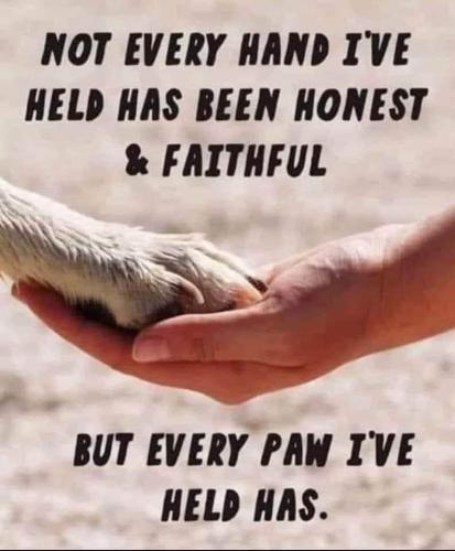 5137f822-2a5f-47d8-a9cd-c02987be25f6