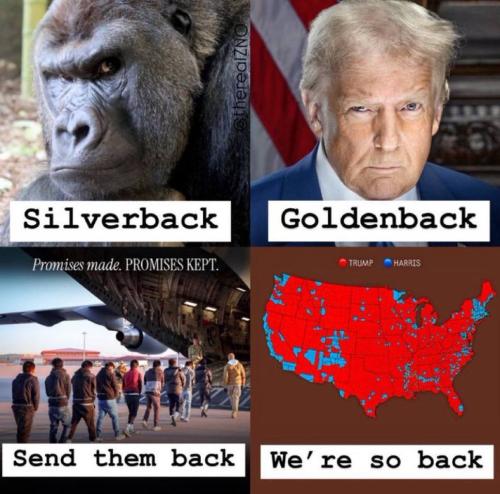 IMG_20250128_183144_549