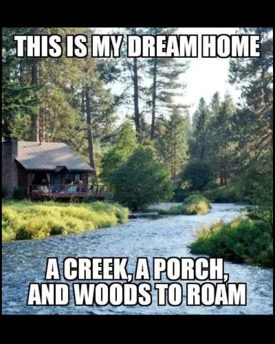 FB_IMG_1735737499966