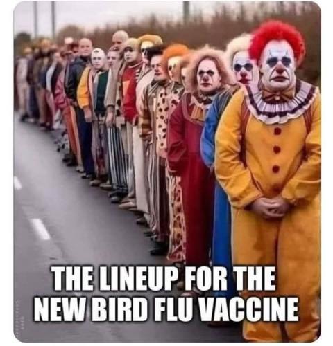 FB_IMG_1736042469596