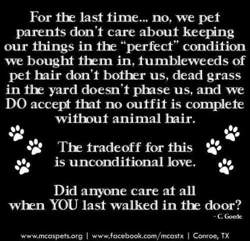 bd48efaaffbbc81a42aeb97d4b7f1003