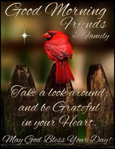 FB_IMG_1611379813528