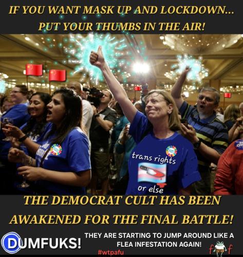 Screenshot_20241231_214909_Photo Editor