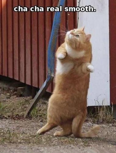 Screenshot_20250115_143657_Gallery