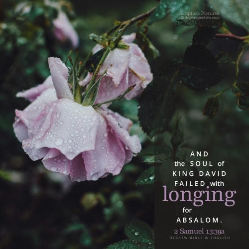 2-sam-13-39a-HBE-unsplash