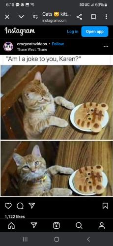 Screenshot_20250108_181631_Chrome