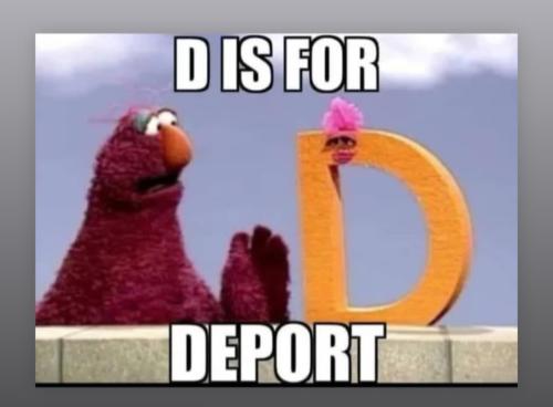 Screenshot_20250124_124954_Instagram