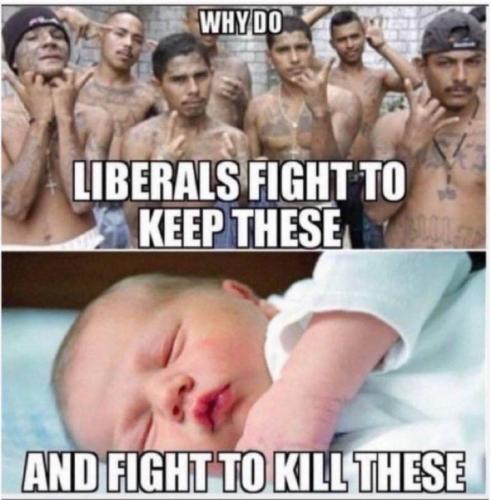 IMG_20250126_080856_557