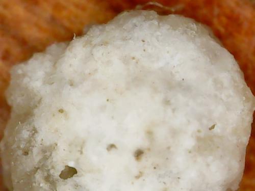 NECK BASE POLYMER NODE (2)