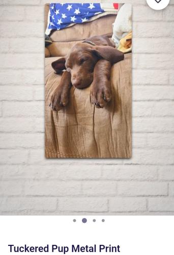 Screenshot_20250115_155724_Brave