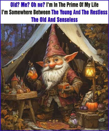 471602410_439404095906467_7238650572981118147_n