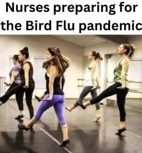 image_62F332B2-768C-4A1A-A1B8-16DB58CD1B25