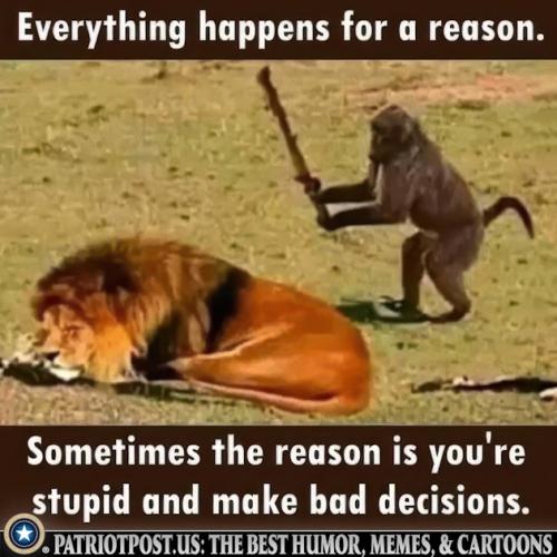 01JJD67CJQ7267YXG6F42AA798