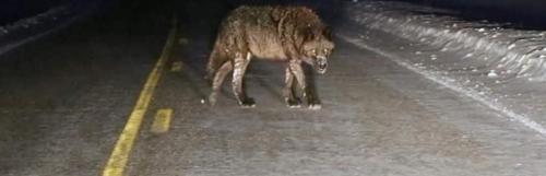 FB_IMG_1735686372045