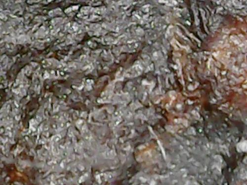 SPINE BASE HYDRO GEL PROGRESS (18)