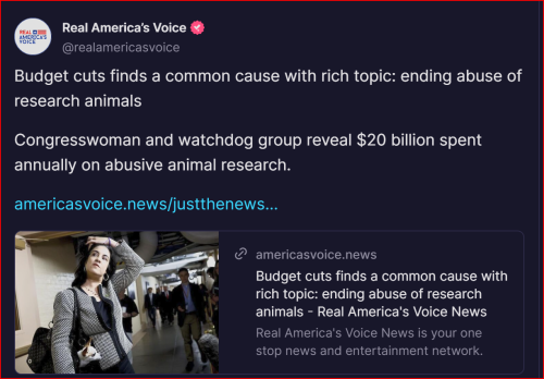 Screenshot 2025-01-26 133115