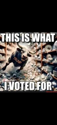 Screenshot_20250127_144140_Gallery