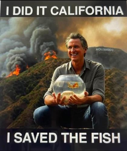 E08FF885-3F5B-41F7-80BD-D5F6C590F7D7