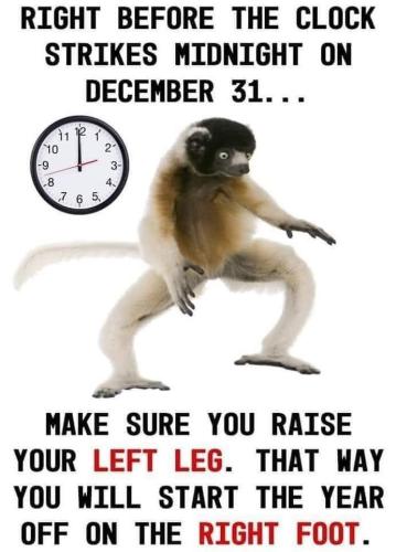 FB_IMG_1735685978184