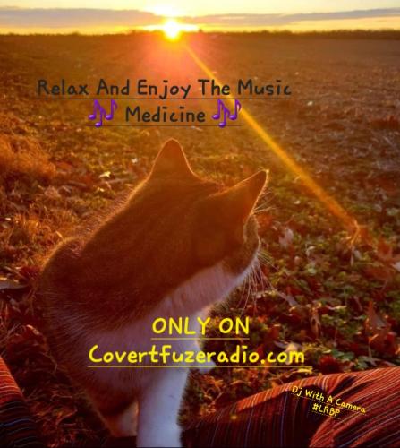 Screenshot_20241123_142224_Gallery