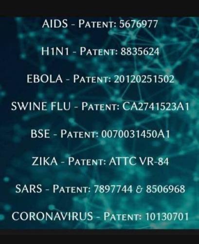 IMG_20250119_073651_684