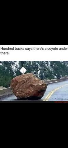 Screenshot_20250127_195836_Gallery