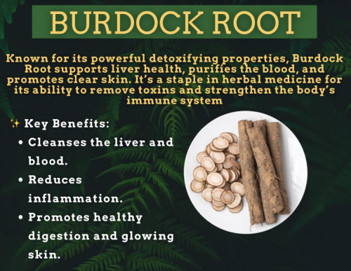 Screenshot 2025-01-23 093145