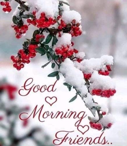 FB_IMG_1606993596159