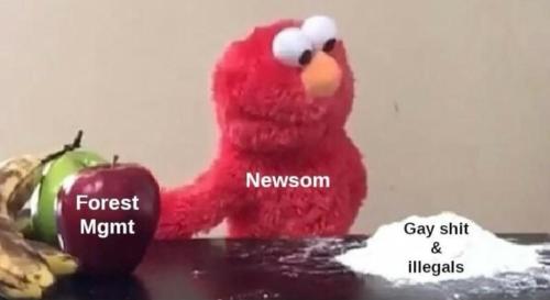 photo_2025-01-10_22-23-07