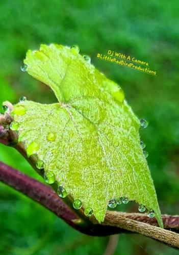 Screenshot_20250128_073119_Gallery