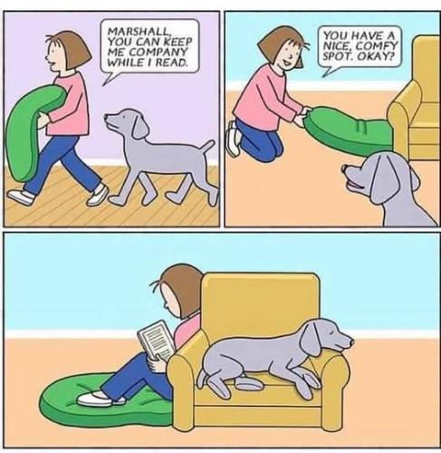 FB_IMG_1737914988737