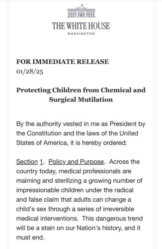 IMG_20250131_030017_985