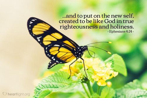 Ephesians 4_24