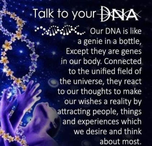 zzzzzzzz     maxresdefault (4)