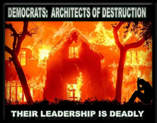 image_2025-01-11_075245636