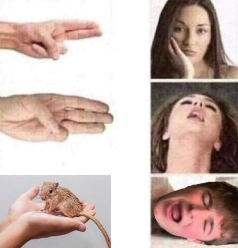 image_9C2D86EE-A799-41E8-AABF-36CB86329D4E