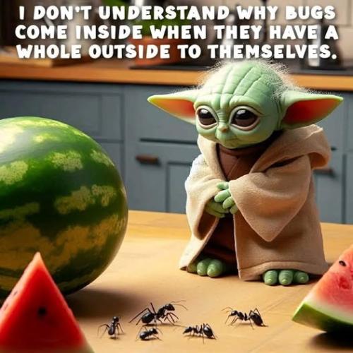 474887157_122196244904168053_1515154628697800098_n