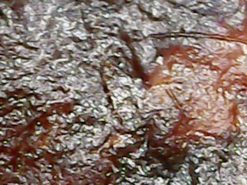 SPINE BASE HYDRO GEL PROGRESS (3)