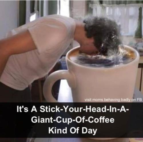 Screenshot_20250129_075404_Gallery