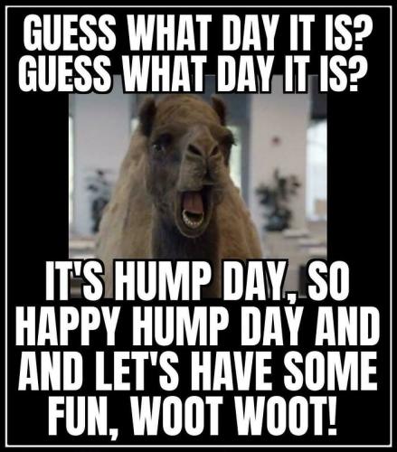 1-Hump Day