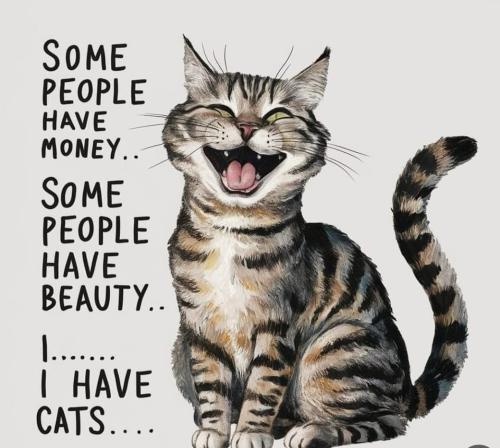 FB_IMG_1736875378165