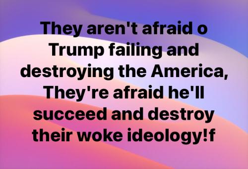 7C7FAAC6-EFA0-4681-B285-A77EE2B02A84