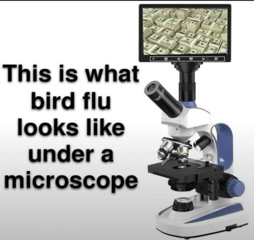 FB_IMG_1735957518344