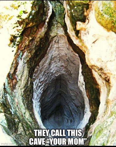 image_942A63FE-216A-49CA-ADF7-9DEBA7CC4193