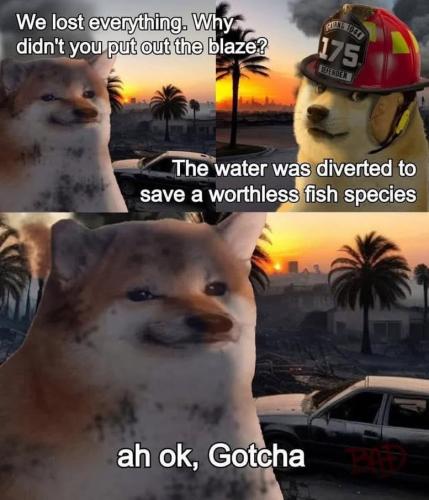 photo_2025-01-10_21-06-06