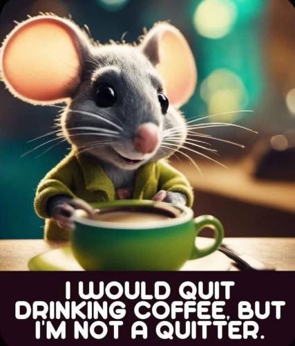 FB_IMG_1737097528887