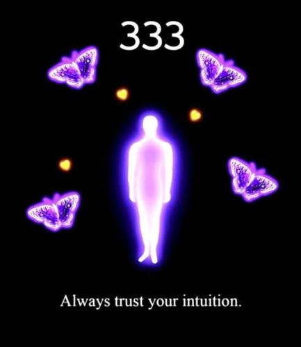 473622855_585421990789569_8233885427061034058_n